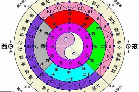 硨磲五行|【硨磲 五行】硨磲之五行奧秘：補五行、助運勢，必備珍寶